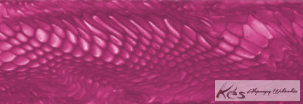 JUMA Pink Dragon Panel 6,2x54x305mm