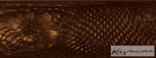 JUMA Golden Dragon tábla 5,5x77x305mm
