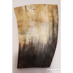 Szürkemarha préselt szarulap 7-10x48-57x127mm méret