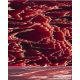 Raffir®  Stripes Vörös osztott markolathoz (bakni) 40x26x34mm